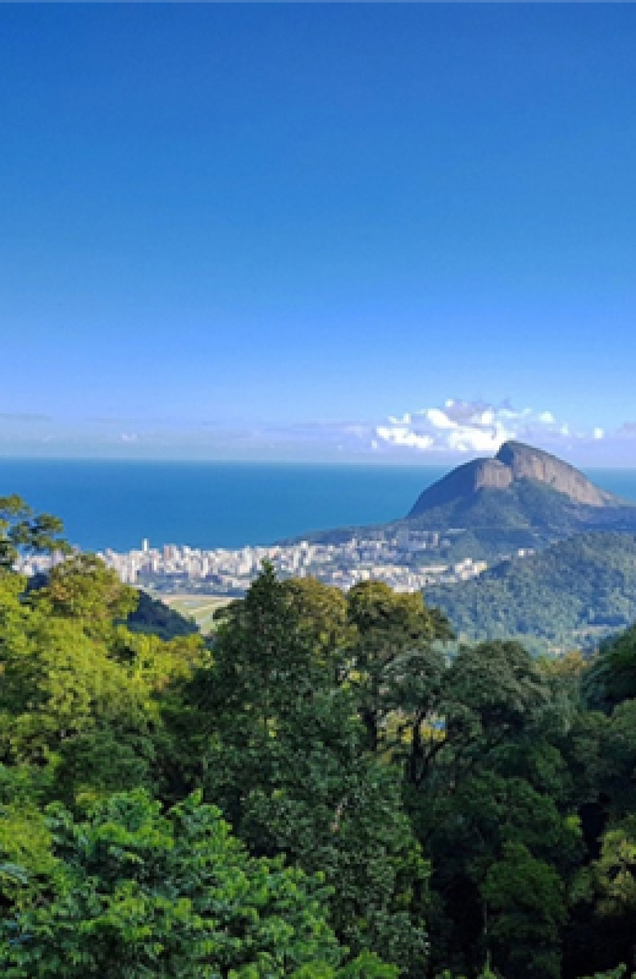 Parque Nacional da Tijuca